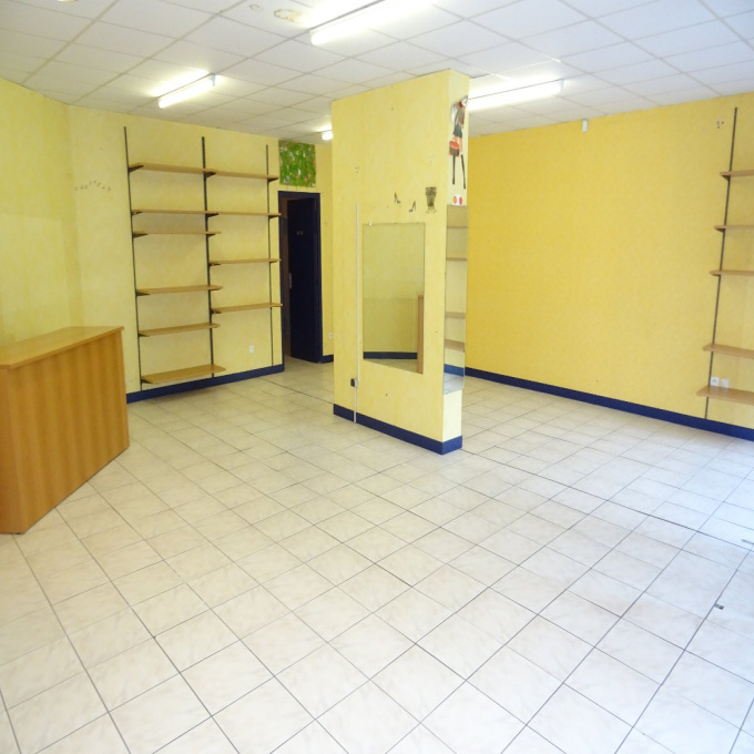 Vente Immobilier Professionnel Fonds de commerce Plaisance-du-Touch (31830)